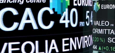 Malgré la canicule, coup de froid sur les puces